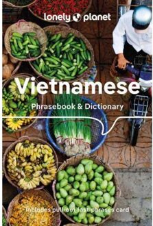 Lonely Planet Vietnamese Phrasebook & Dictionary (9th Ed)