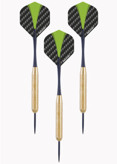 Longfield Games 1x Set van dartpijltjes met groen met zwarte flights 21 grams - Dartpijlen Multikleur