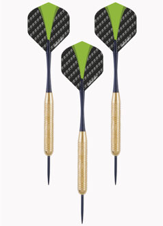 Longfield Games 2x Set van dartpijltjes met groen met zwarte flights 24 grams - Dartpijlen Multikleur