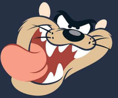 Looney Tunes Tasmanian Devil Face Hoodie - Navy - M