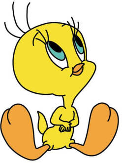 Looney Tunes Tweety Sitting Dames T-shirt - Wit - M