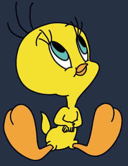 Looney Tunes Tweety Sitting Hoodie - Navy - XXL