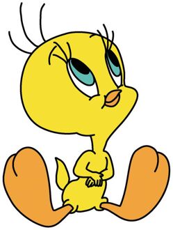 Looney Tunes Tweety Sitting T-shirt - Wit - XXL