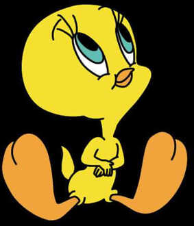 Looney Tunes Tweety Sitting Trui - Zwart - L