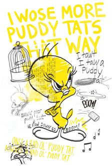 Looney Tunes Tweety T-shirt - Wit - XXL