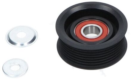 Looprol Poelie DIP6521