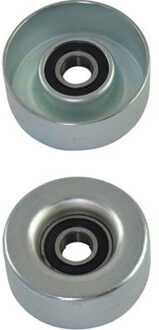 Looprol Poelie DIP8002