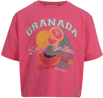 Looxs meisjes t-shirt Rose - 134