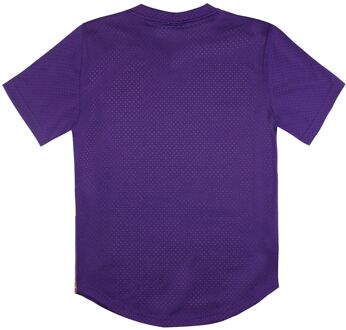 Los Angeles Lakers Winnen Kort Mesh Heren T-shirt Geel