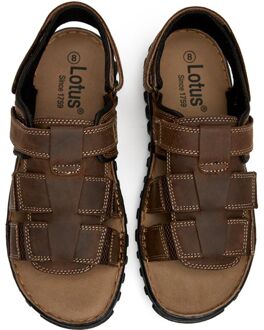 Lotus Boscom Sandalen Bruin