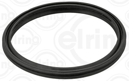 Lotus Pakking, inlaatspruitstuk 066790