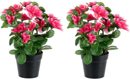 Louis Maes Azalea Kunstbloemen - 2 stuks - in pot - rood/roze - H25 cm