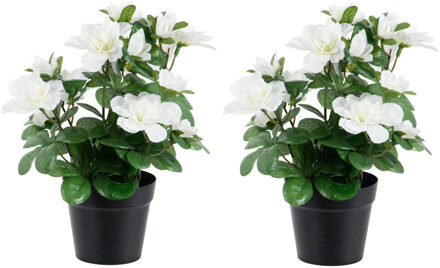 Louis Maes Azalea Kunstbloemen - 2 stuks - in pot - wit - H25 cm