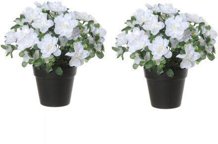 Louis Maes Azalea Kunstbloemen - 2 stuks - in pot - wit - H28 cm