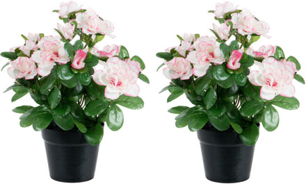 Louis Maes Azalea Kunstbloemen - 2 stuks - in pot - wit/roze - H25 cm
