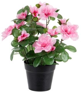 Louis Maes Azalea Kunstbloemen - in pot - roze - H25 cm - Kunstplanten