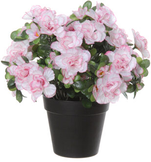 Louis Maes Azalea Kunstbloemen - in pot - wit/roze - H28 cm