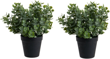 Louis Maes Eucalyptus Kunstplant - 2 stuks - in pot - groen - H28 cm - Kunstplanten