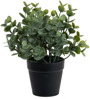 Louis Maes Eucalyptus Kunstplant - in pot - groen - H20 cm