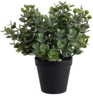 Louis Maes Eucalyptus Kunstplant - in pot - groen - H28 cm - Kunstplanten