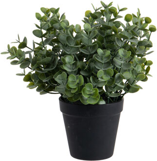 Louis Maes Eucalyptus Kunstplant - in pot - groen - H28 cm