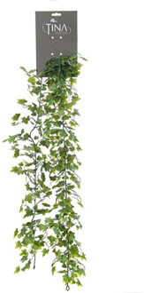 Louis Maes kunstplant blaadjes slinger Klimop/hedera - groen/wit - 181 cm - extra brede uitvoering