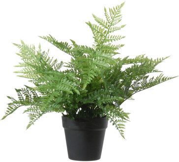 Louis Maes Kunstplant bosvaren Dryopteris Remota - groen - 43 cm - zwarte kunststof pot