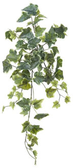 Louis Maes kunstplant met blaadjes hangplant Klimop/hedera - groen/wit - 58 cm - Kunstplanten Multikleur