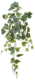 Louis Maes kunstplant met blaadjes hangplant Klimop/hedera - groen/wit - 58 cm Multi