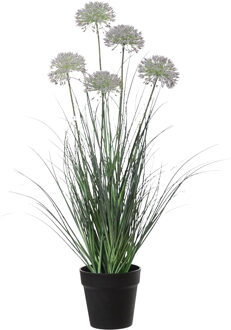 Louis Maes kunstplant - Siergras Allium - paars/groen - H75 cm - in pot