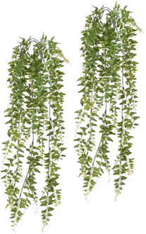 Louis Maes kunstplanten - 2x - Boston varen - groen - hangende takken bos van 60 cm