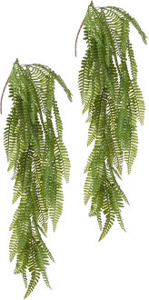 Louis Maes kunstplanten - 2x - Varen - groen - hangende takken bos van 70 cm
