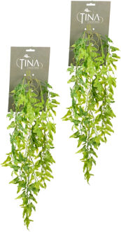 Louis Maes kunstplanten - 2x - Varen - lichtgroen - hangende takken bos van 55 cm