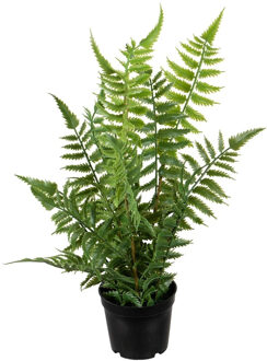 Louis Maes kunstplanten - Bosvaren - groen - in pot - 38 cm