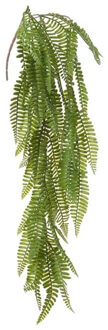 Louis Maes kunstplanten - Varen - groen - hangende takken bos van 70 cm