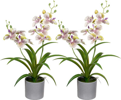 Louis Maes Orchidee bloemen kunstplant in bloempot - 2x - creme/lila bloemen - H38 cm