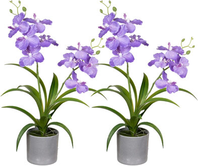 Louis Maes Orchidee bloemen kunstplant in bloempot - 2x - paars bloemen - H38 cm