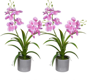 Louis Maes Orchidee bloemen kunstplant in bloempot - 2x - roze bloemen - H38 cm