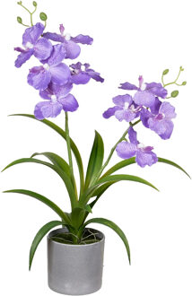 Louis Maes Orchidee bloemen kunstplant in bloempot - paars bloemen - H38 cm