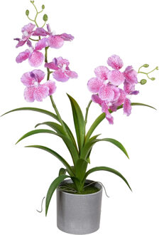Louis Maes Orchidee bloemen kunstplant in bloempot - roze bloemen - H38 cm