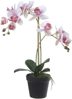 Louis Maes Orchidee bloemen kunstplant in pot - bloemen/bloemetjes - wit/roze/groen - H52 cm