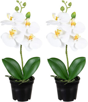 Louis Maes Orchidee bloemen kunstplant op plug - 2x - bloemen/bloemetjes - wit/groen - H33 cm