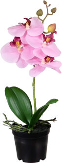 Louis Maes Orchidee bloemen kunstplant op plug - bloemen/bloemetjes - roze/groen - H33 cm