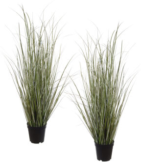 Louis Maes Quality kunstplant - 2x stuks - Siergras helmgras - donkergroen - H75 cm - in pot