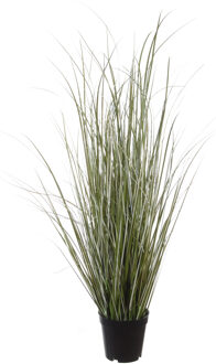 Louis Maes Quality kunstplant - Siergras helmgras - donkergroen - H75 cm - in pot