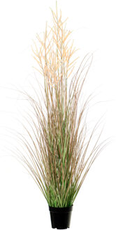 Louis Maes Quality kunstplant - Siergras met pluim - groen/bruin - H125 cm - in pot