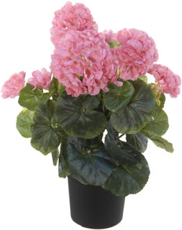 Louis Maes Roze geranium Pelargonium Graveolens kunstplant in zwarte kunststof pot 35 cm - Kunstplanten Groen