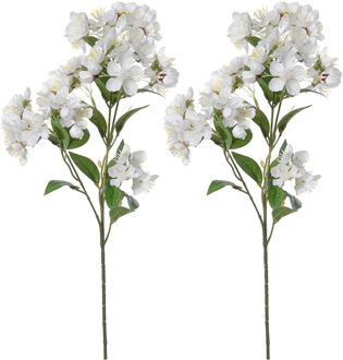 Louis Maes Set van 2x stuks bloesem kunstbloem/tak - appelbloesem wit - 60 cm