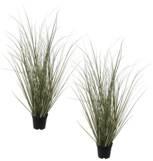 Louis Maes Set van 2x stuks groene duingras Ammophila Arenaria kunstplanten in zwarte kunststof pot 50 cm