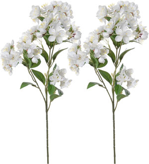 Louis Maes Set van 4x stuks bloesem kunstbloem/tak - appelbloesem wit - 60 cm